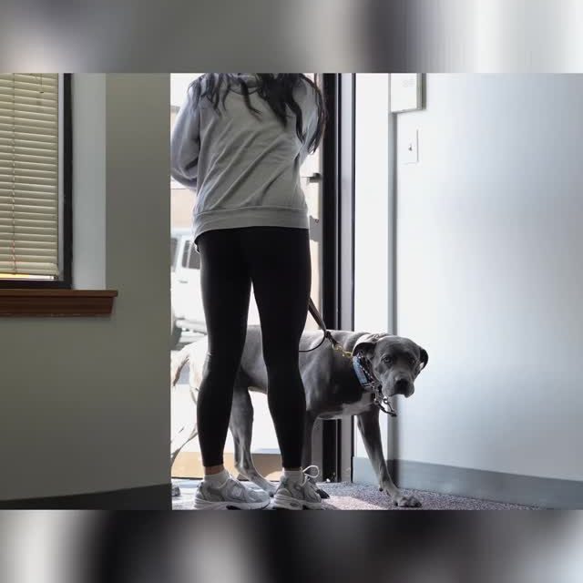 Let’s clear something up — “Positive Only,” “Fear Free,” and “Force Free” training are marketing terms, not real systems of behavior or training.  The “positive” in positive-only doesn’t mean “happy.” It refers to positive reinforcement — one of the four quadrants of operant conditioning. And here’s the truth:  Every trainer who claims to use only positive reinforcement actually uses another quadrant constantly — negative punishment — and that’s perfectly fine.  Negative punishment just means removing something the dog wants to decrease an unwanted behavior.  Example: your dog jumps, you turn around to take away attention. That’s negative punishment. It’s not abusive, and it’s not cruel. It’s literally just how learning works.  So why don’t “positive-only” trainers say they use negative punishment too?  Cmon, you know EXACTLY why they don’t say that…  Because it SOUNDS bad. “Negative” and “punishment” are scary words to the average dog owner — even though what’s actually happening is totally normal and ethical.  And that’s exactly why “positive-only” training is a scam — not because it’s wrong to use positive reinforcement or negative punishment, but because the label itself exists to sell an illusion: that dog training can be all sunshine, rainbows, and cookies with zero accountability, structure. or consequences.  What’s truly unfortunate is that this label hurts dogs and owners. Many owners turn to “positive-only” trainers for help, only to find their dog’s serious issues never improve.  They’re left believing their dog is broken or unfixable — which leads to heartbreak: giving up & rehoming, heavy and unnecessary medication, or even worse- euthanasia.  All because the trainer sold a fantasy instead of being completely transparent & teaching the full picture of how dogs actually learn.  Don’t fall for the “positive only” scam ‼️  #positiveonlydogtraining #dogowners #dogtrainingtruths