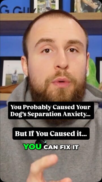 Separation anxiety is one of the most common issues I see in dogs that come into my facility. The hard truth is that many times owners contribute to it, if not cause it entirely.  Obviously, they don’t mean to, but it happens all the time.  The good news is that if you helped create it, you can help fix it. It starts with holding yourself accountable and committing to changing the way you interact with your dog for their benefit.  In my latest YouTube video, I talk about how exactly you might be causing your dog’s separation anxiety & exactly how you can fix it.  Check it out here 👇  https://youtu.be/bm7z5uM1now?si=K2tHRqUQizPf8bZq  #separationanxiety #separationanxietydog #attachmentissues #dogowners #chicagodogtrainer