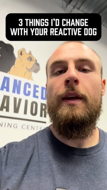 Number 3 is one I bet most dog owners, especially reactive dog owners, don’t even realize is a major problem 😳 
Follow for more dog training tips from someone who works with reactive dogs every single day 🫡 
#reactivedog #reactivedogtraining #reactivedogowners #dogowners #dogtrainingtip