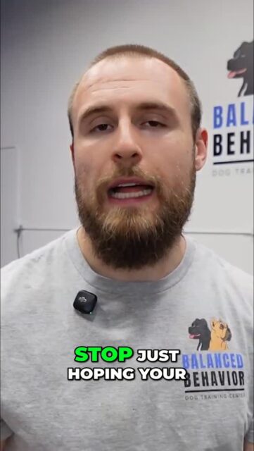 Tired of that same old reactivity? I get it. You've been trying for months. Stop hoping, start guiding. This is how you actually break the cycle.  Link in bio to the full video with all the answers #ReactiveDogTraining #DogReactivity #DogTrainingTips #DogOwners #DogBehavior