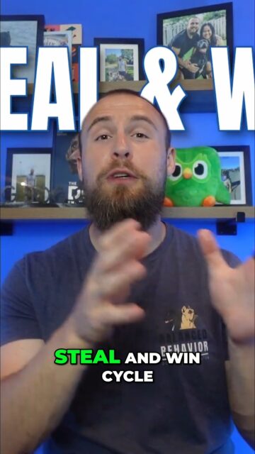 Does your dog steal and then 'win' treats? This video dives into the 'steal and win cycle' and why common trading methods might actually make resource guarding worse. Understand the cycle to break it.
https://youtu.be/LIGDxe1VN9o?si=XsiQYvGlxCNNHUbH
#DogTraining #ResourceGuarding #DogBehavior #PositiveReinforcement #DogOwnerStruggles