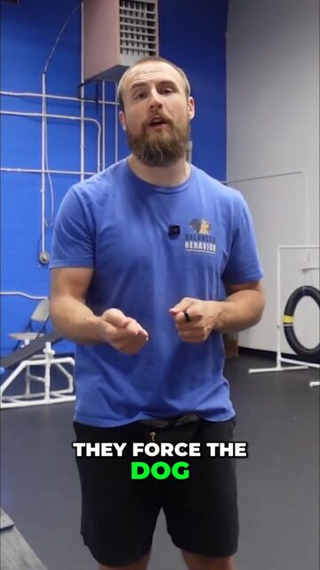 Many people rush dog introductions & force interactions. This can create negative experiences, especially for anxious dogs, leading to fear or aggression.
https://youtu.be/M5PGLawaHsk
#dogtraining #dogbehavior #puppytips #doglovers #dogowners