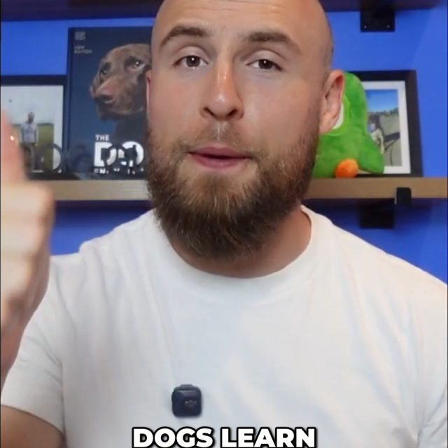 Constant talking can confuse your dog. They learn best through experiences, repetition, and clear patterns, not human chatter.
Simplify your communication for a better bond!
https://youtu.be/M5PGLawaHsk?si=kBDhxi74whizp0Rk
#DogTraining #DogCommunication #PositiveReinforcement #DogOwners #SmartDog