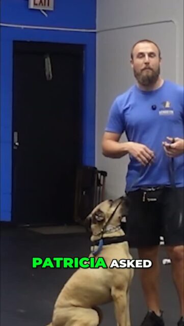 Learn how to approach dogs that are feeling nervous. Key strategies include avoiding direct eye contact and creating positive experiences with treats the right way!
https://youtu.be/M5PGLawaHsk?si=kBDhxi74whizp0Rk
#DogTraining #NervousDogs #PositiveReinforcement #DogBehavior #PetCare