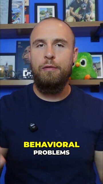 For the love of God, PLEASE stop looking for quick & easy fixes for your dog's behavior. Neutering your dog will NOT fix behavioral issues such as anxiety, fear, reactivity, or aggression.
Consistent & proper training is ONLY way to have a well-behaved dog.
https://youtu.be/Z61RD9u0jTY
#Neutering #PetCare #DogBehavior #DogOwners #DogLovers