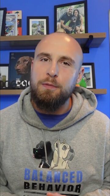 Dog training has the same problem as the rest of society: everybody wants results, but NOBODY wants to put in the work.
https://youtu.be/ahYRH0NtavQ
#dogowners #hardwork #putinthework #stopcomplaining #shutupandwork